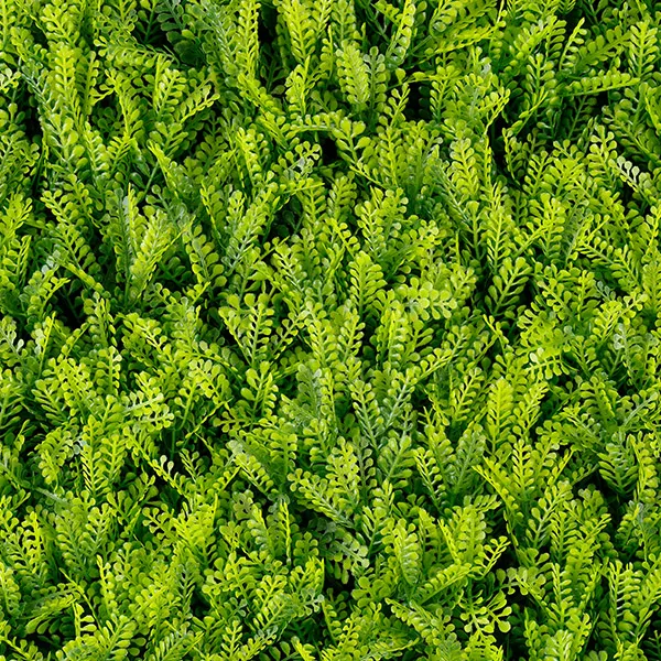 T20-GA009-00007.webp