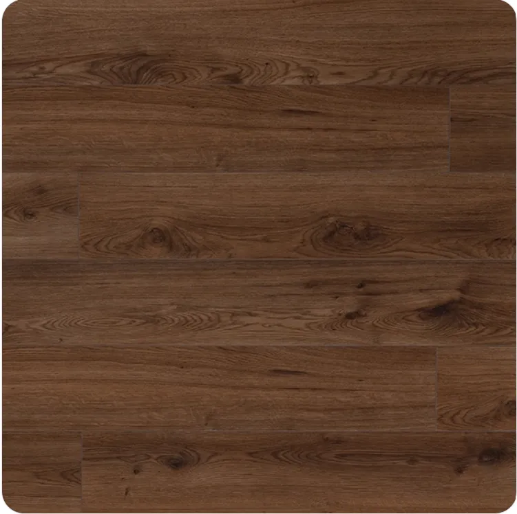 trend brown .webp